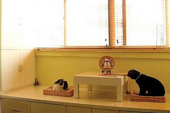 陽(yáng)臺榻榻米裝修效果圖